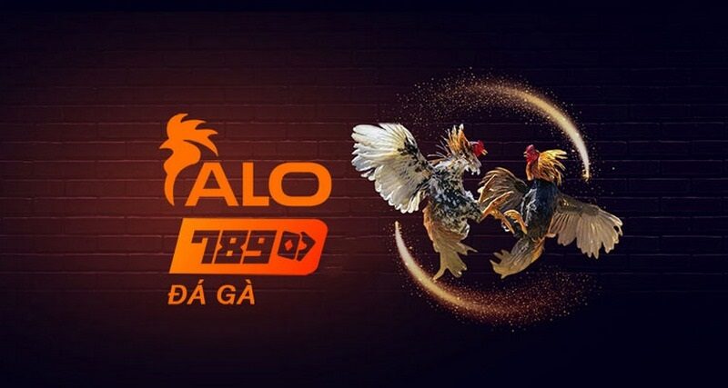 Link vào Alo789z.com mới nhất - Hướng dẫn khắc phục link bị lỗi 1 Cập nhật link vào chính thức